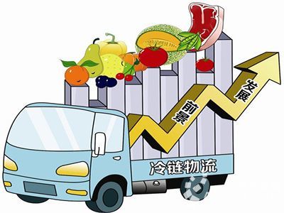 生鮮背后的大動脈 農產品冷鏈物流如何重塑中國的餐桌革命